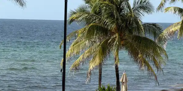 Image 4: Oceanfront property with a white picket fence, mat