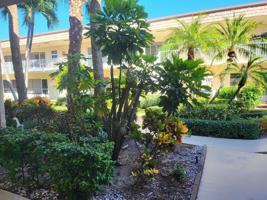 600 Snug Harbor Drive