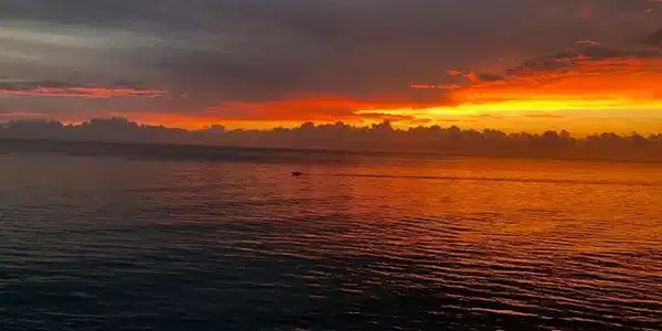 Image 2: SUNRISE
