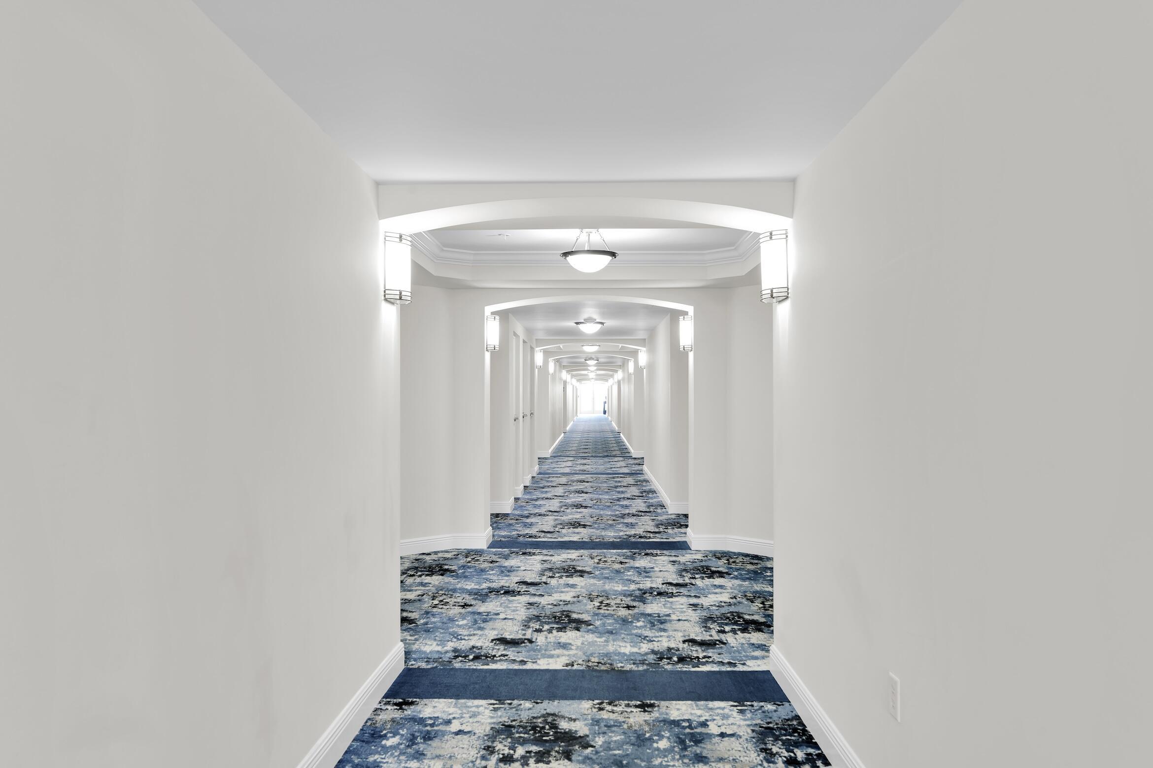 Image 3: Elegant Hallways