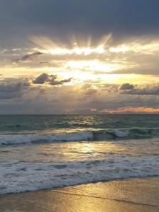 4225 N Highway A1a