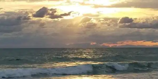 4225 N Highway A1a