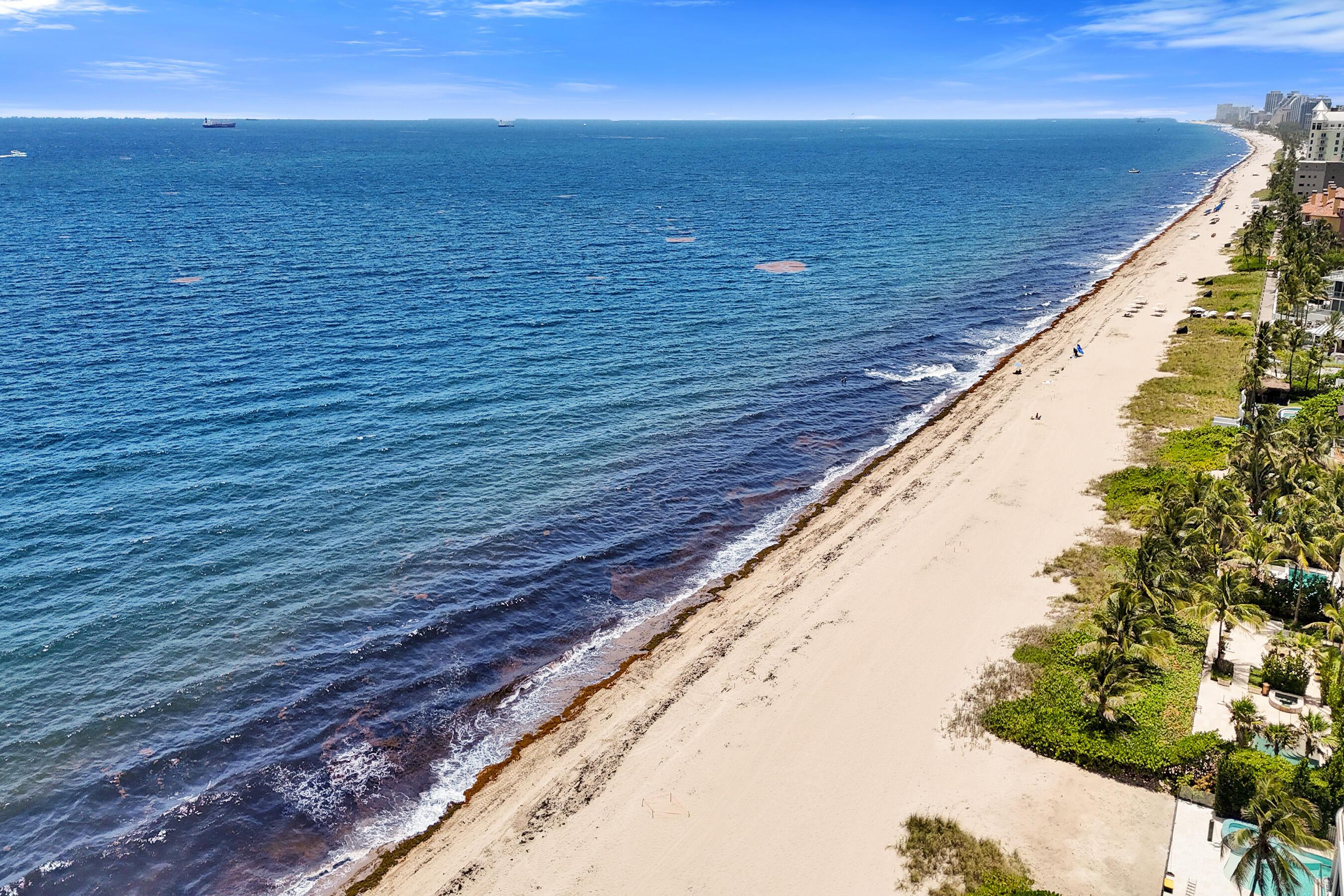 Image 2: DJI_20260708132432_0376_D