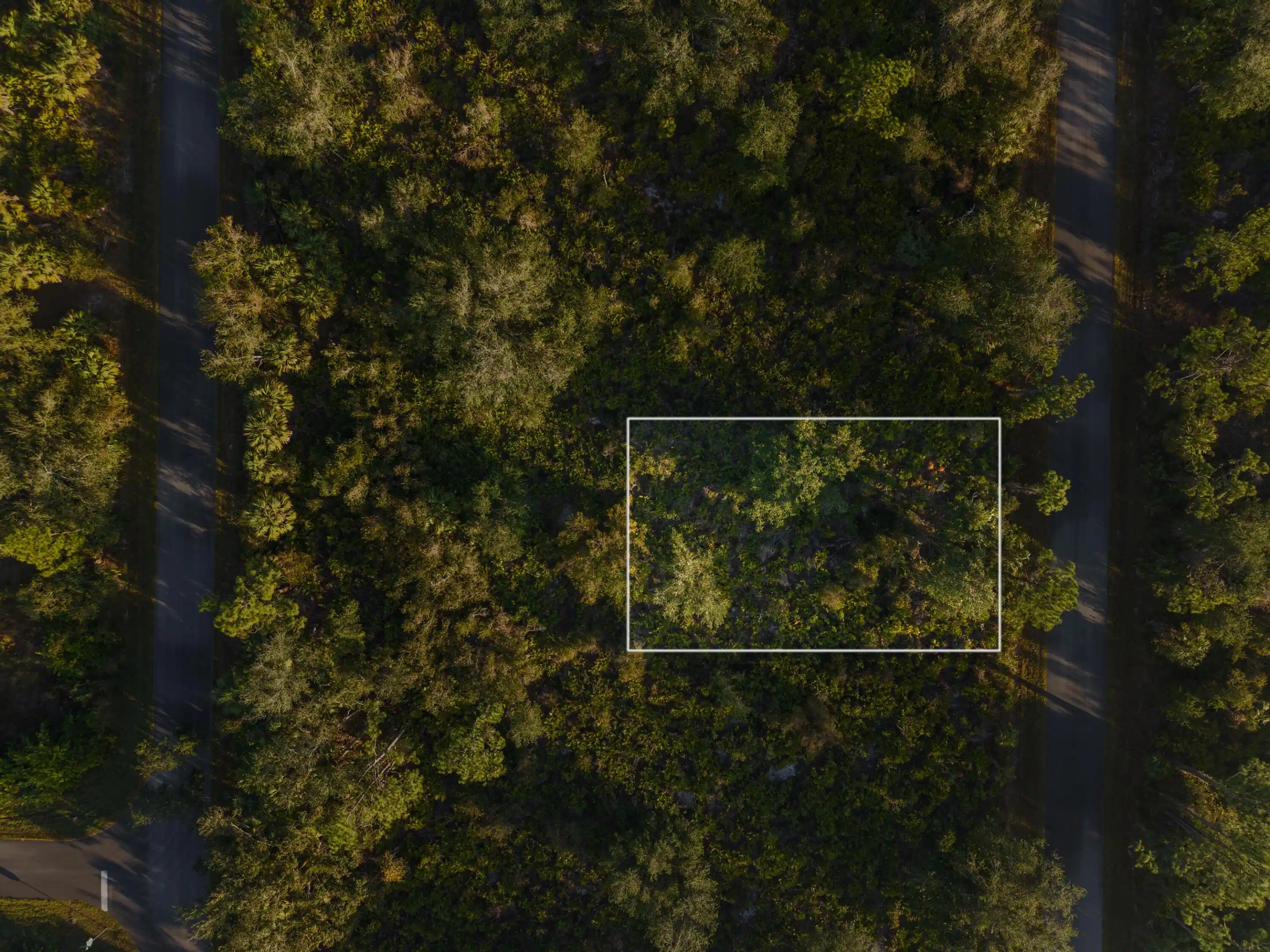 Image 1: File1
