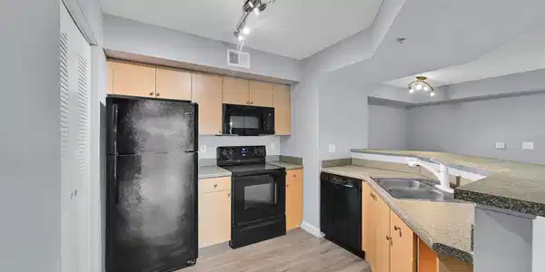 Image 4: Photo 4