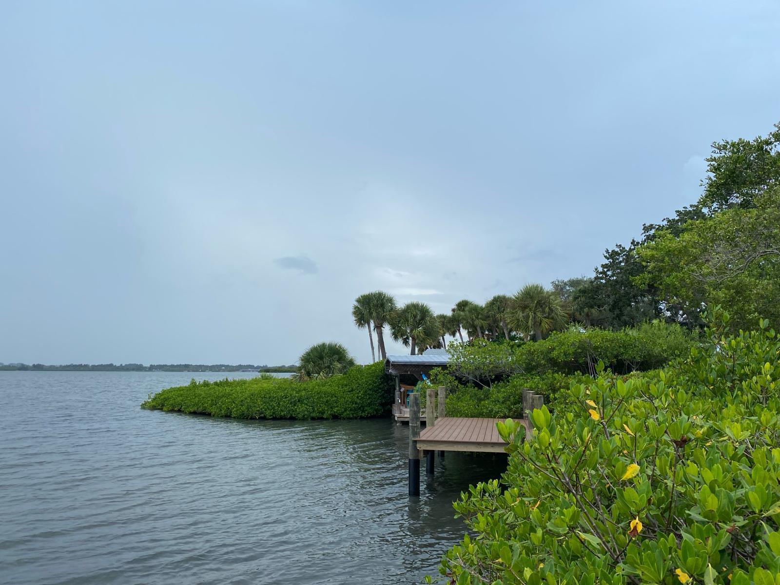 Image 2: IMG-20240611-WA0001