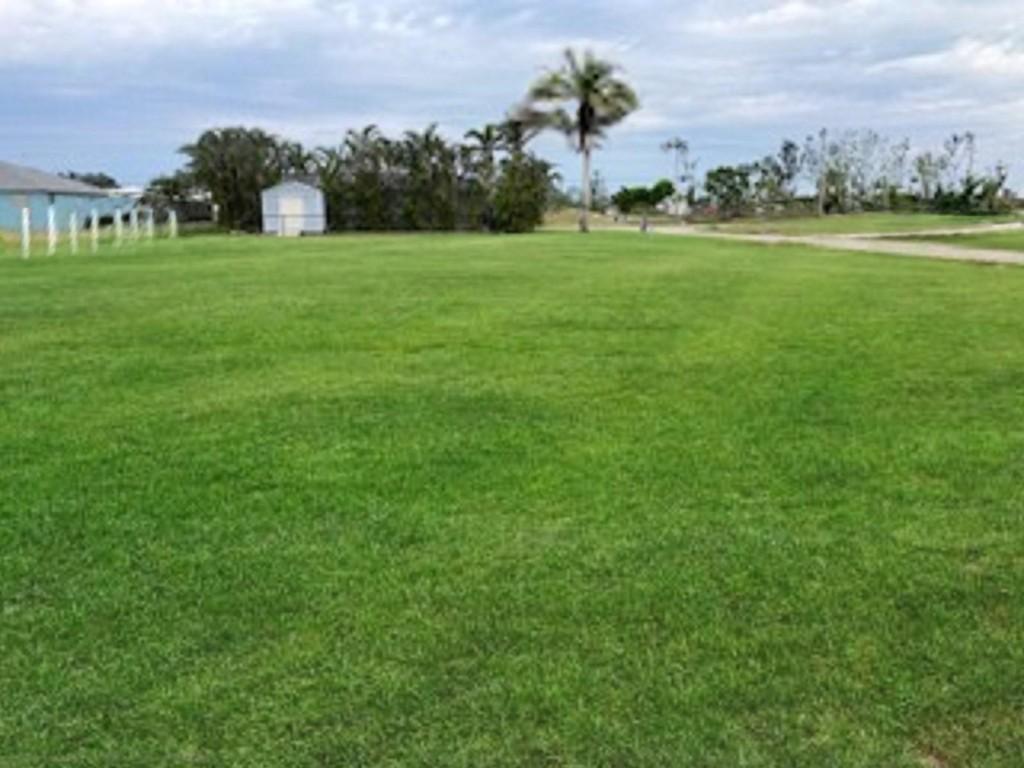 Image 2: Photo 2