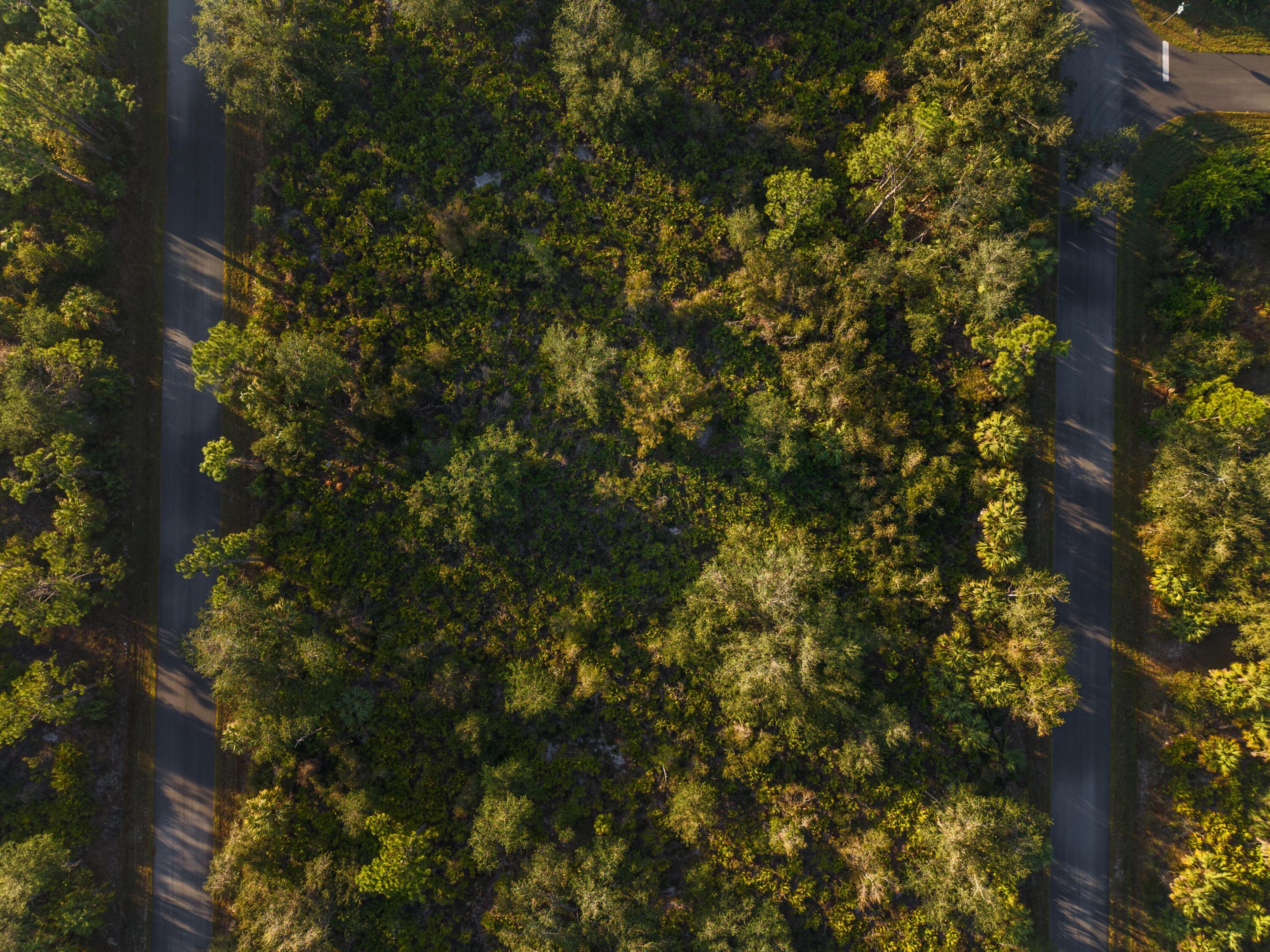Image 2: File2