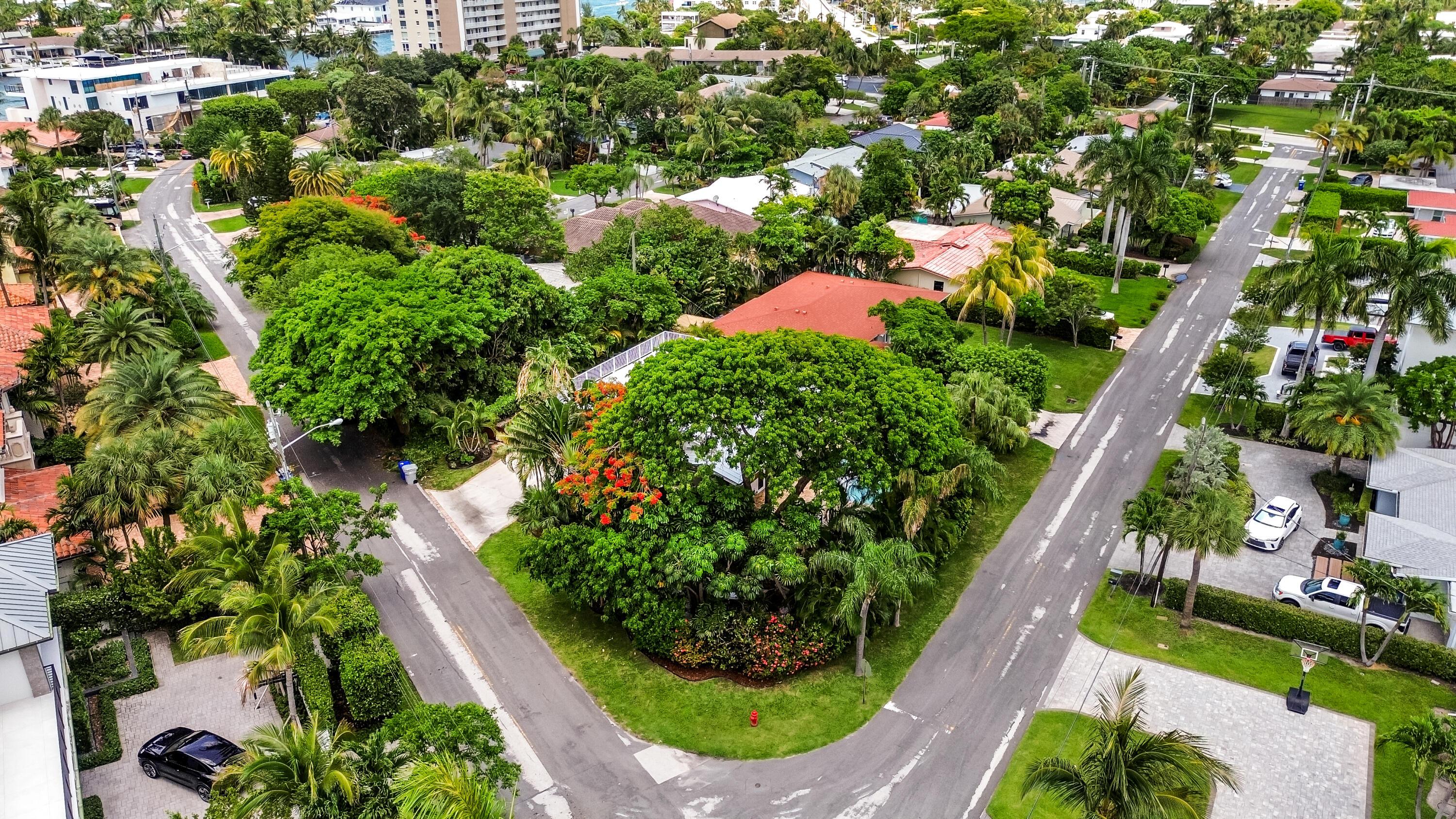 Image 4: DJI_0922
