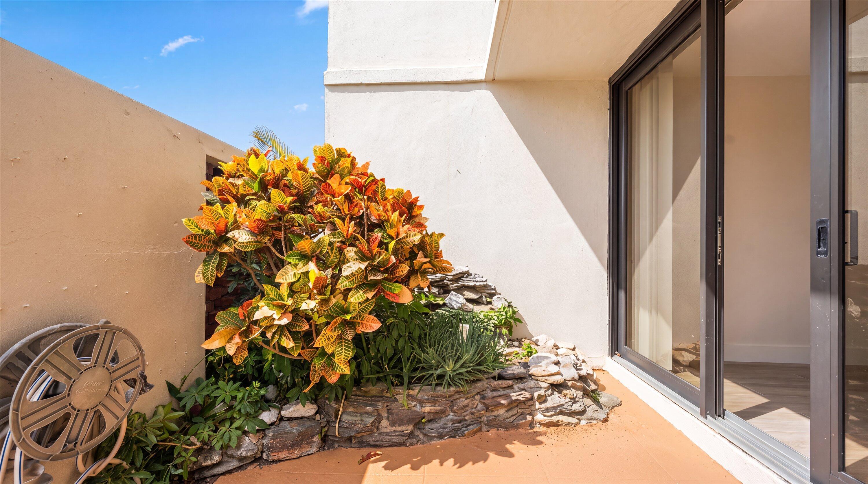 Image 4: Garden on patio