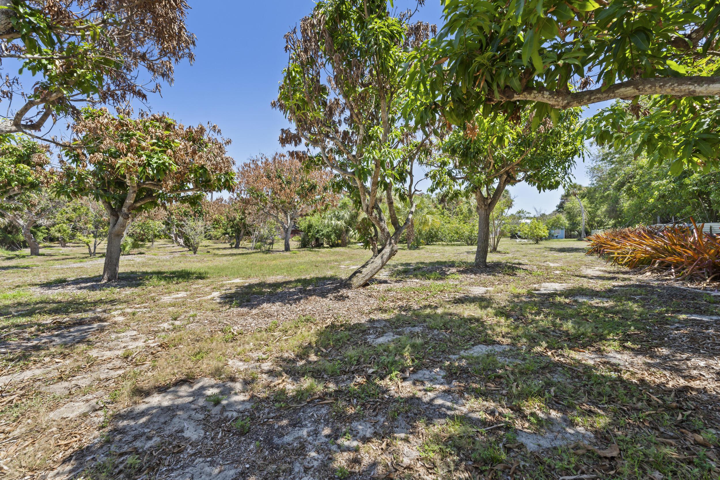 Image 3: Lot