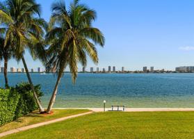 401 Lake Shore Drive