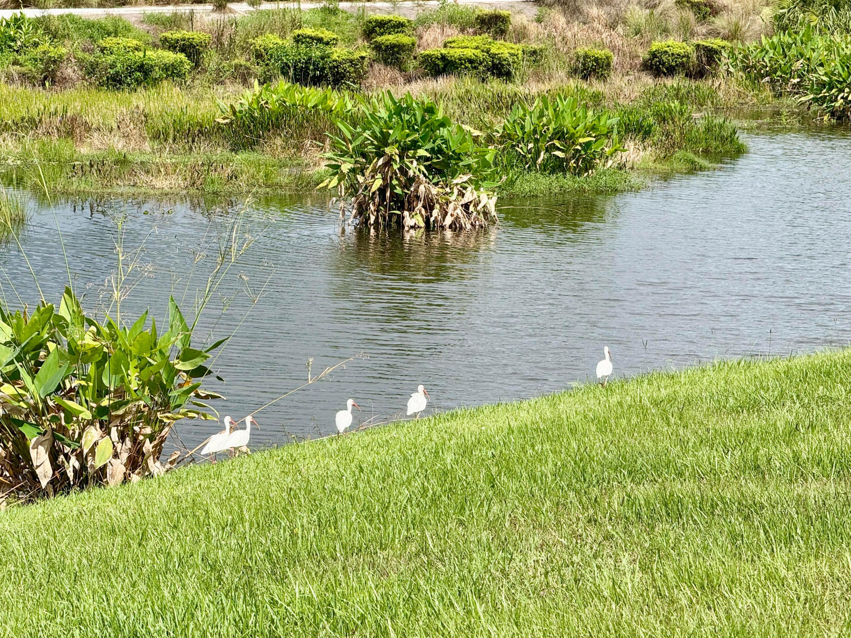 Image 4: Lakes are fully stocked