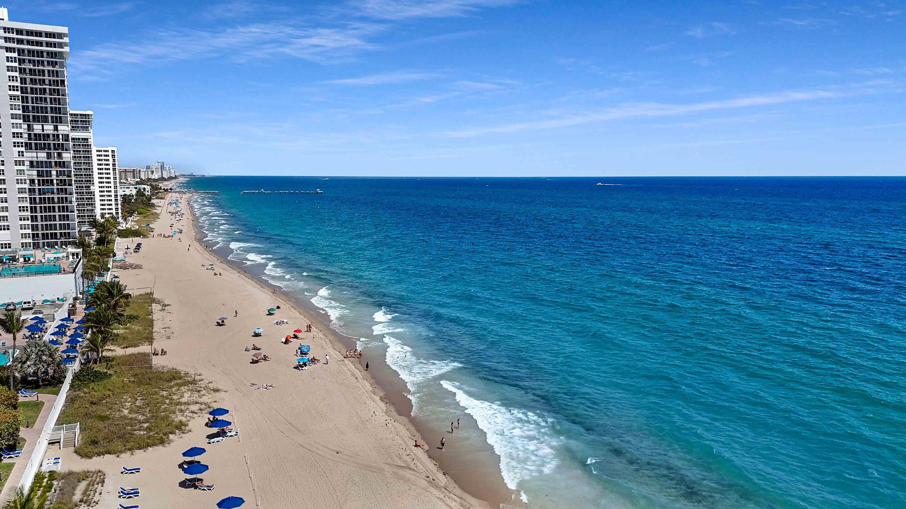 Image 2: DJI_20260311124524_0207_D