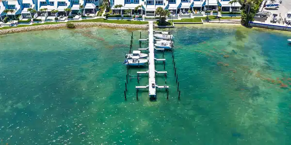 Image 3: Aerial