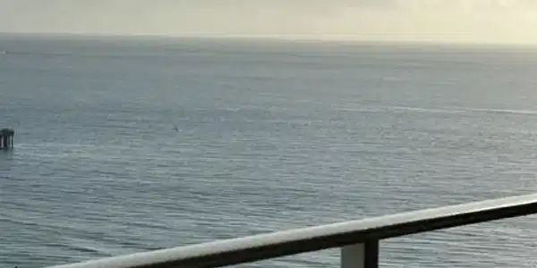 Image 3: Photo 3