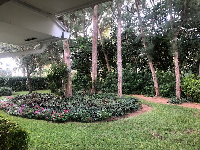 Image 3: Backyard View