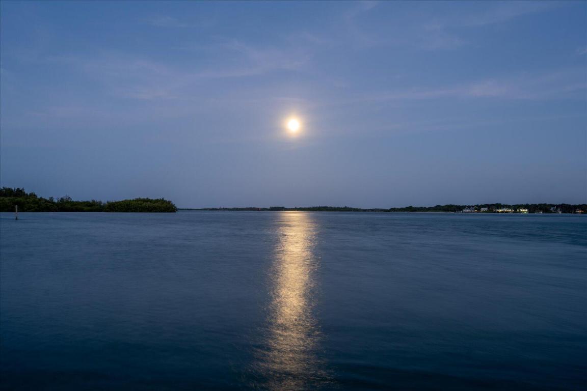 Image 4: 112-DSC_2296