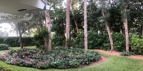 Image 3: Backyard View