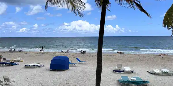 3500 Galt Ocean Dr