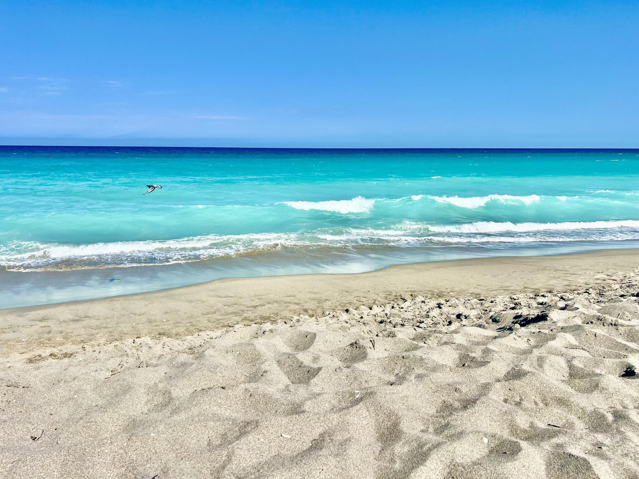 Image 4: A Short Stroll to Enjoy the Beautiful Aqua Blue Wa
