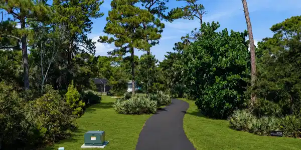 Image 4: 2