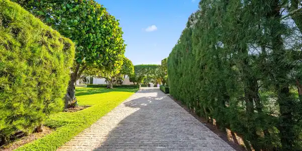 Image 4: Driveway