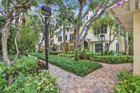 316 N Bromeliad