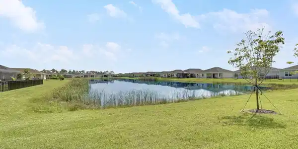 Image 4: Lake Views