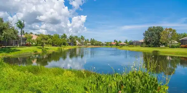 Image 4: LAKE VIEW NORTH FROM YOUR BACK YARD