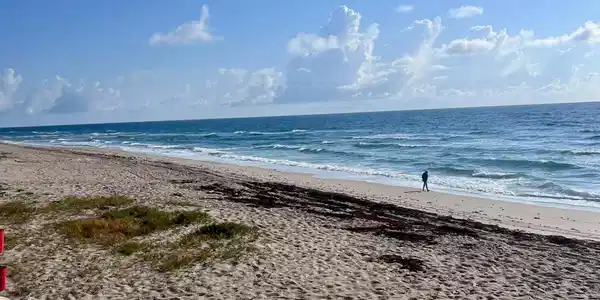 3500 S Ocean 117 Boulevard