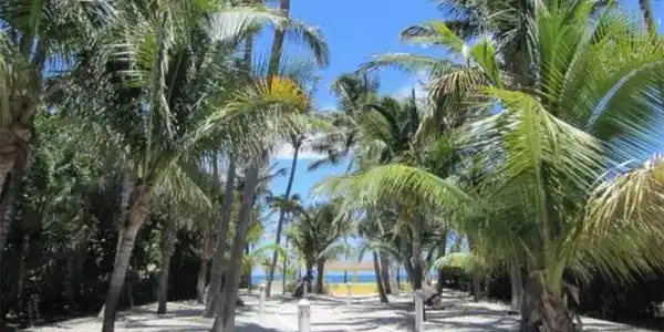 1421 S Ocean Blvd