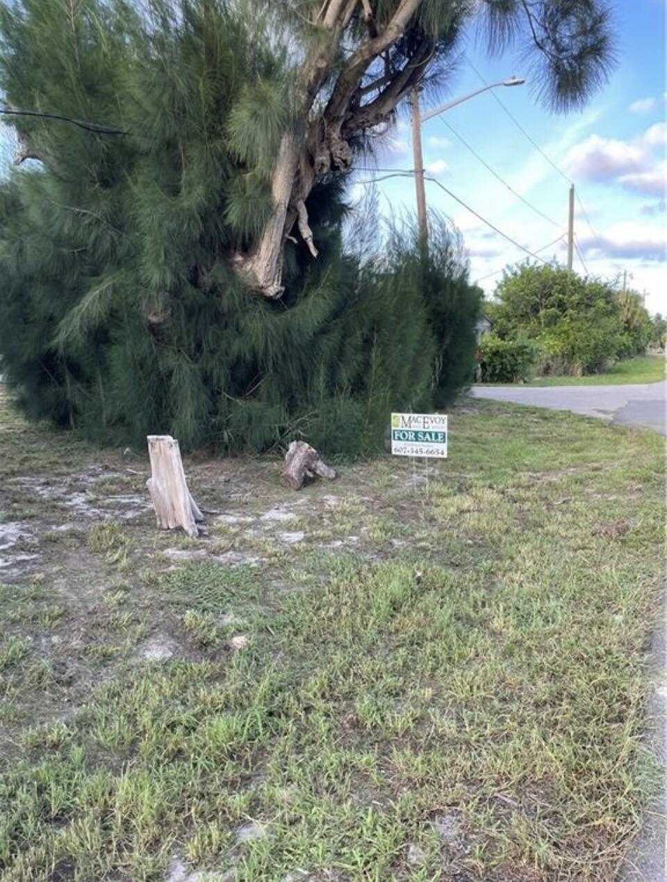 Image 4: This is a corner lot!