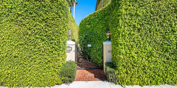 245 Brazilian Avenue