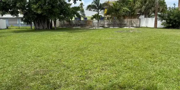 Image 4: Rear of the lot