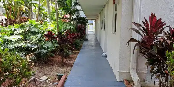Image 2: WALKWAY