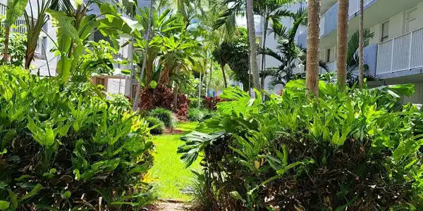 Image 3: GARDEN