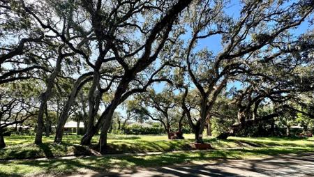 608 Cypress Road