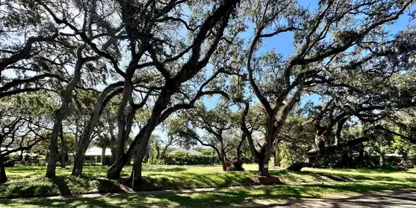 608 Cypress Road