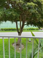 46 Woodland Drive