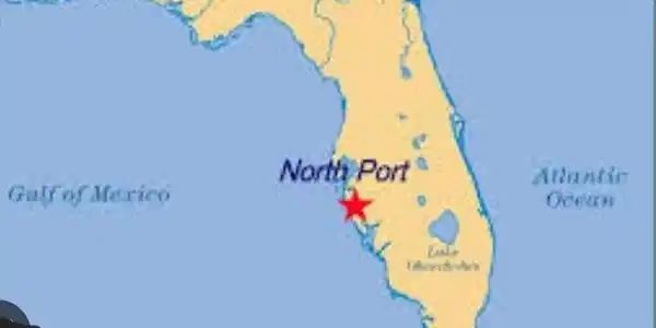Image 4: RENAULT - Florida Location Map