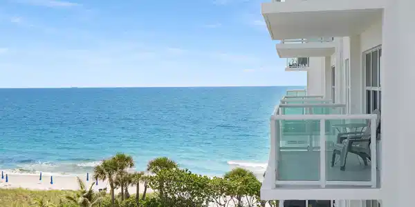 Image 2: the view