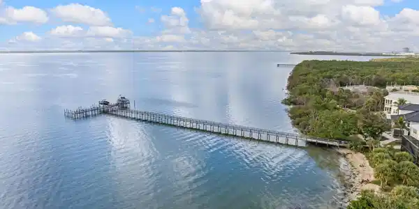 Image 2: dji_20241231045201_0866_d-2