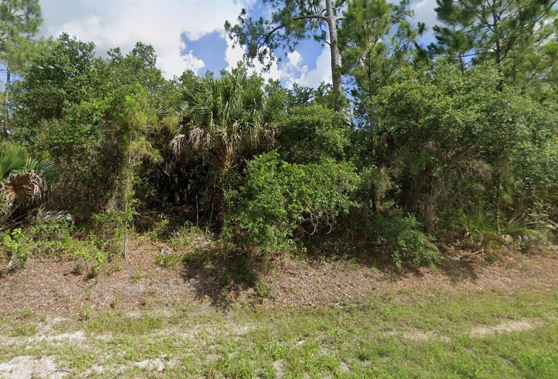 Image 4: Photo 3