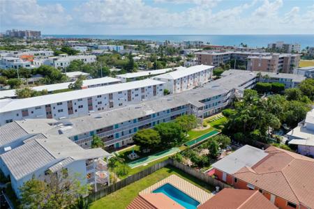 234 Hibiscus
