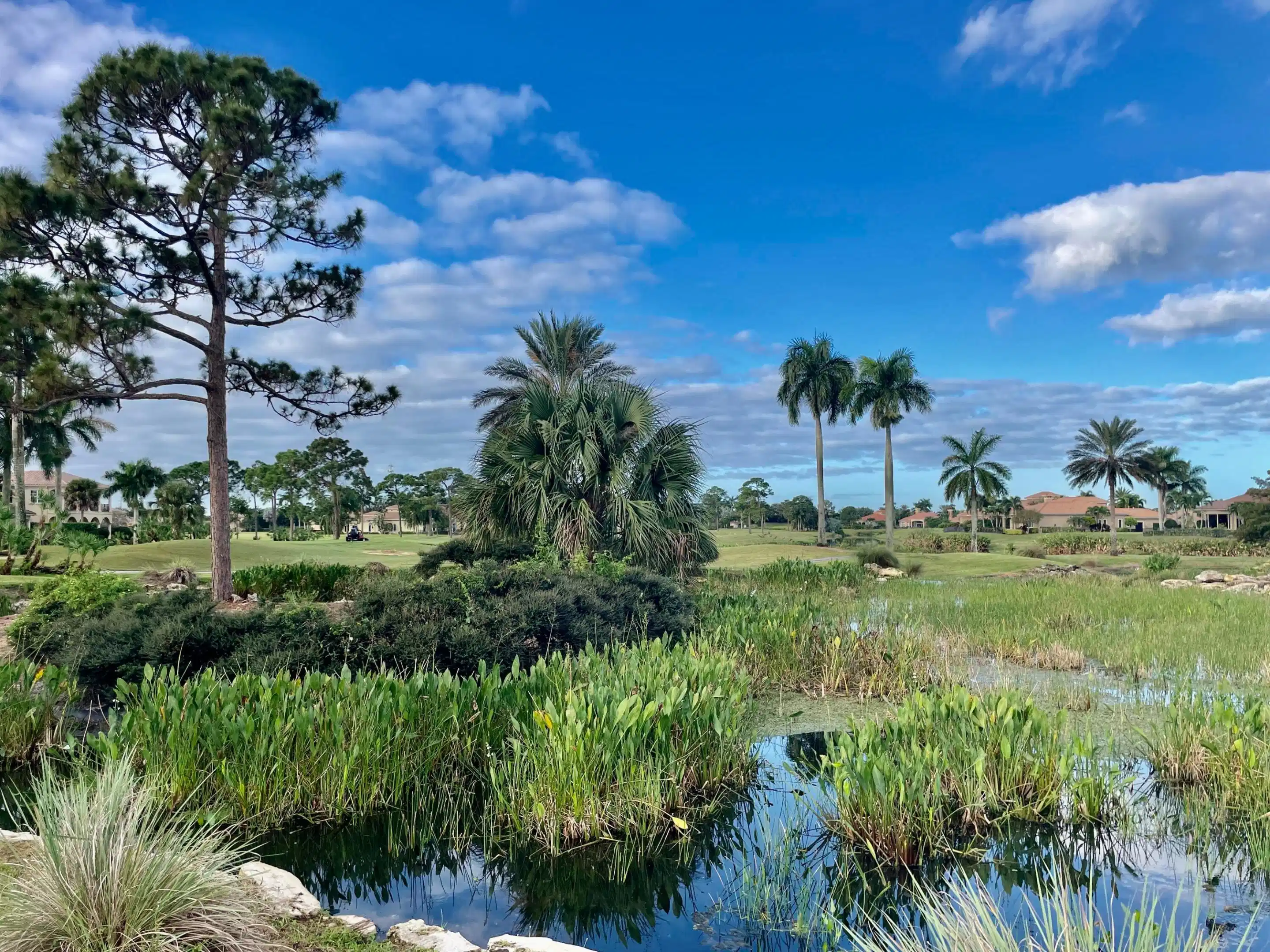 Image 1: View of Water Feature and 5th Green