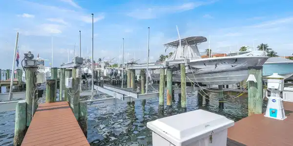 Image 2: Dock Slip with Lift