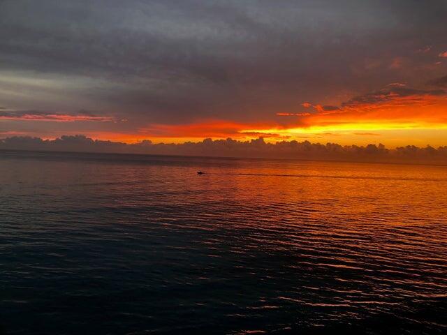 Image 2: SUNRISE