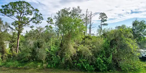 Image 3: 03_view