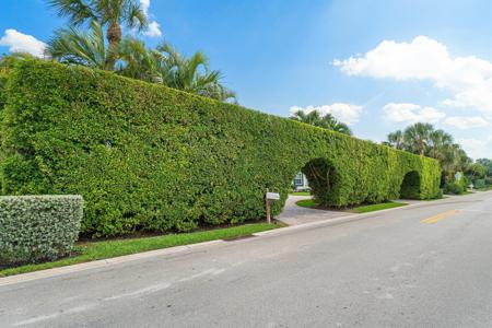 51 Colony Road